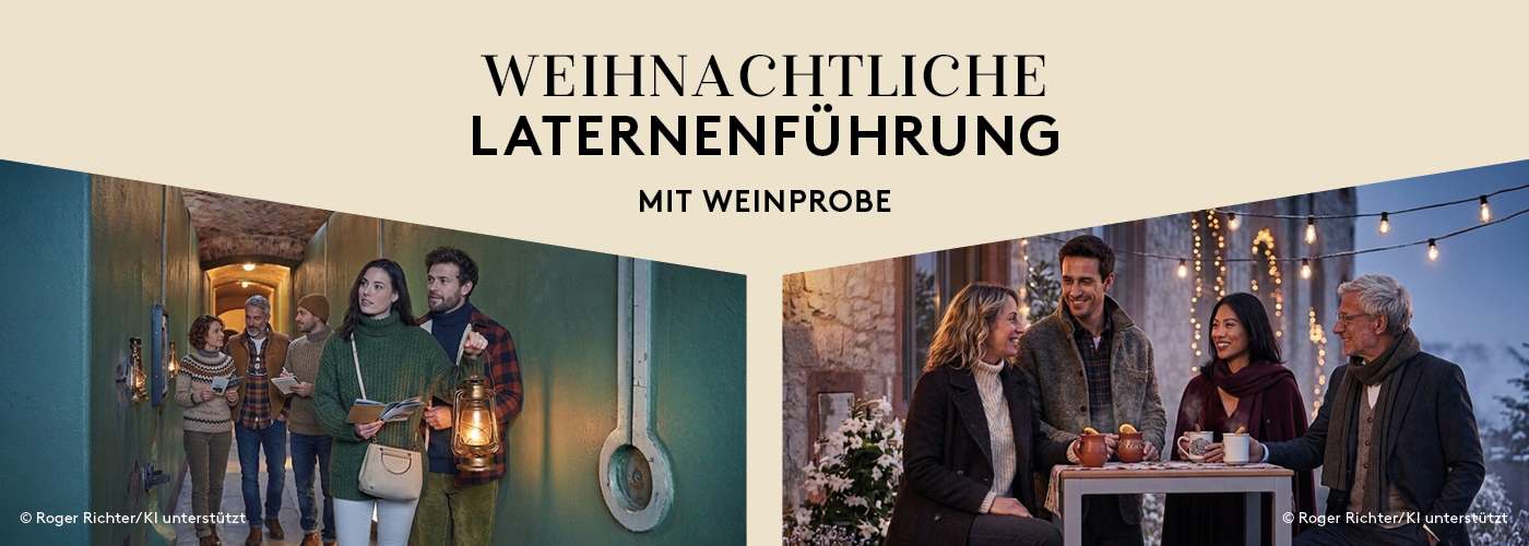 2026_weihnachtliche-fuehrung_webseite-1400x500px